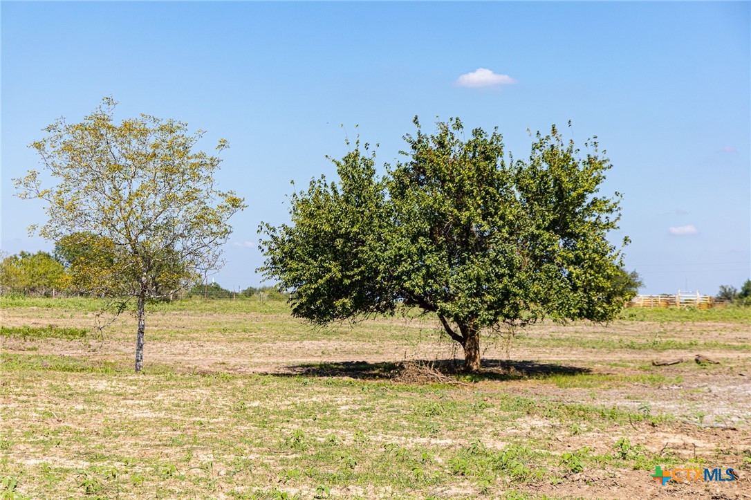 234 CR 430 Tract 6, Hallettsville, TX 77964 — photo 1