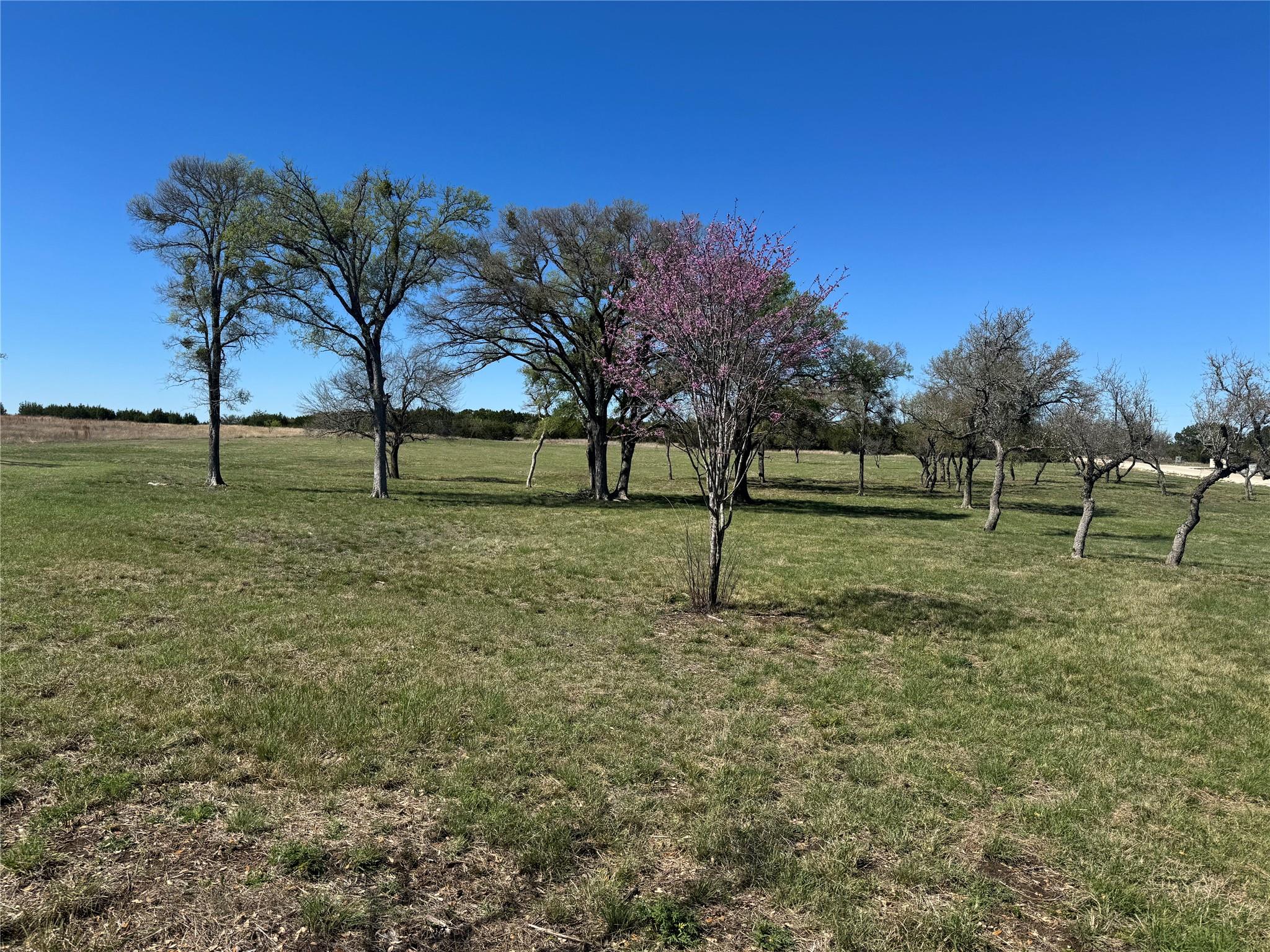 Tract 34 Burnet Oaks, Burnet, TX 78611 — photo 1