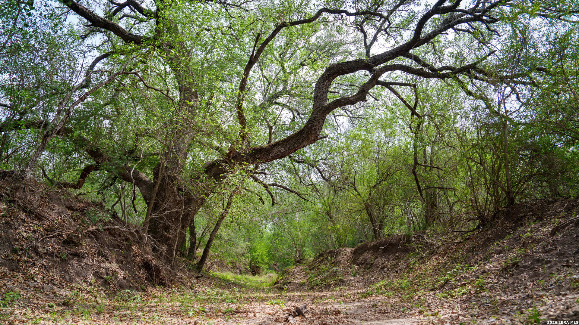 1251 County Road 210, Floresville, TX 78114 — photo 1