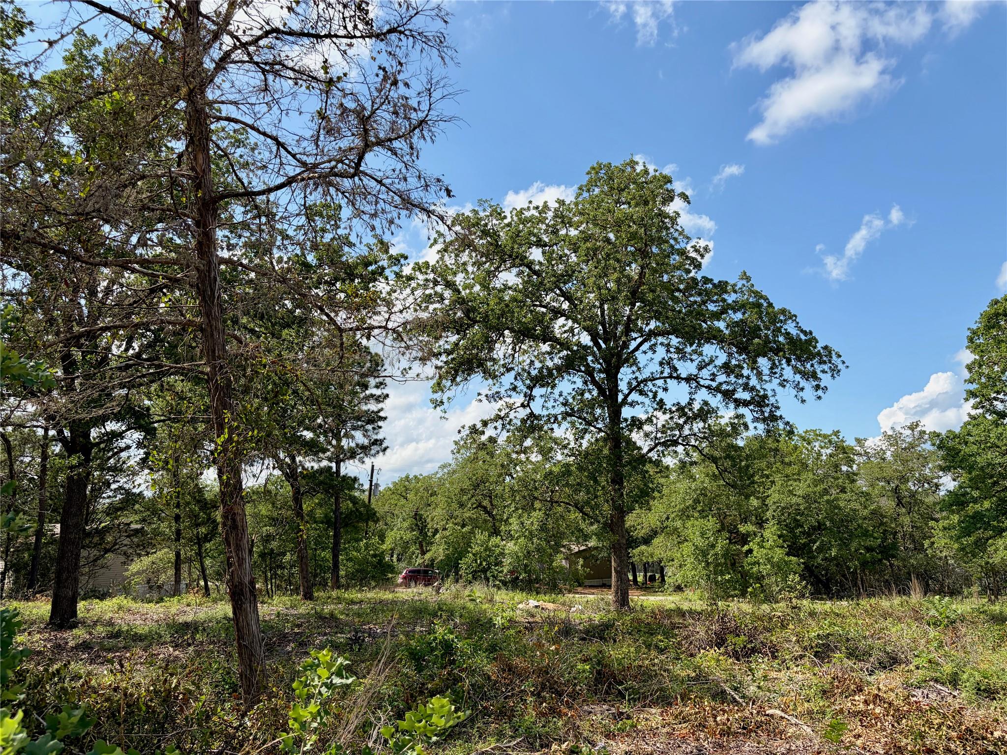 Lots-97/98 Shawnee, Smithville, TX 78957 — photo 1