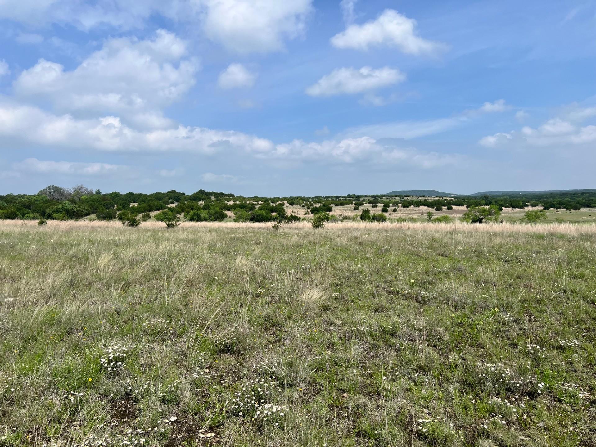 Tract 1 & 11, 4847 County Road 3300, Kempner, TX 76539 — photo 1