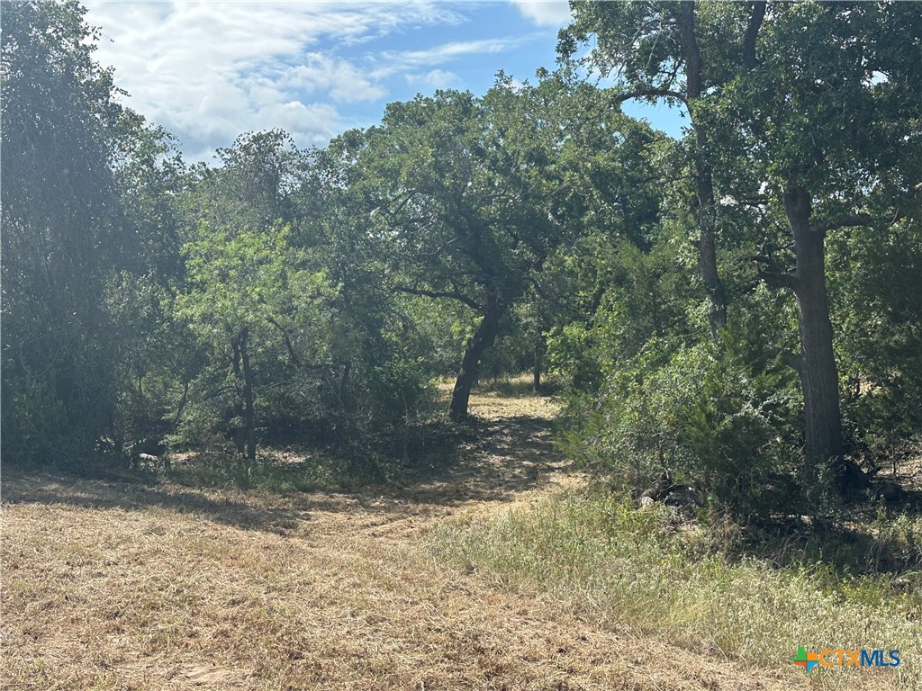 590 Coastal Lane, Luling, TX 78648 — photo 1
