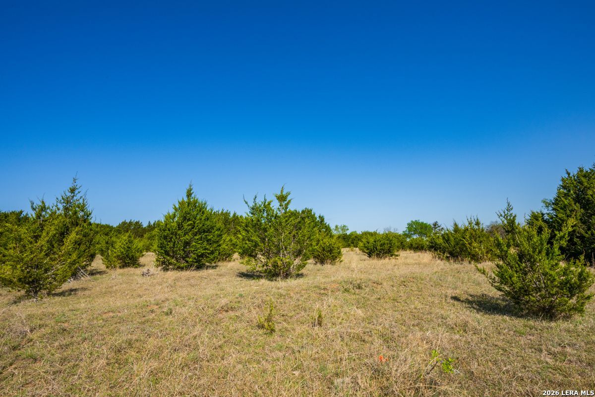 Farm to Market 1241, Purmela, TX 76566 — photo 1
