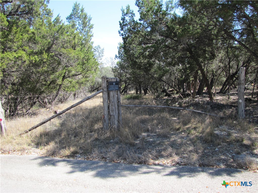 678 Cannan Road, Canyon Lake, TX 78133 — photo 1