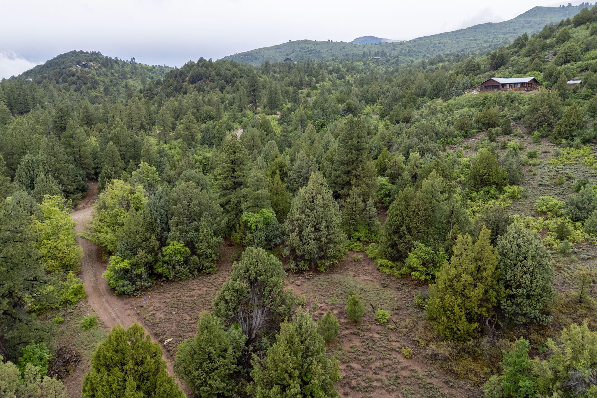 2657 E Oak Tree Trail 22, Virgin, UT 84779 — photo 1