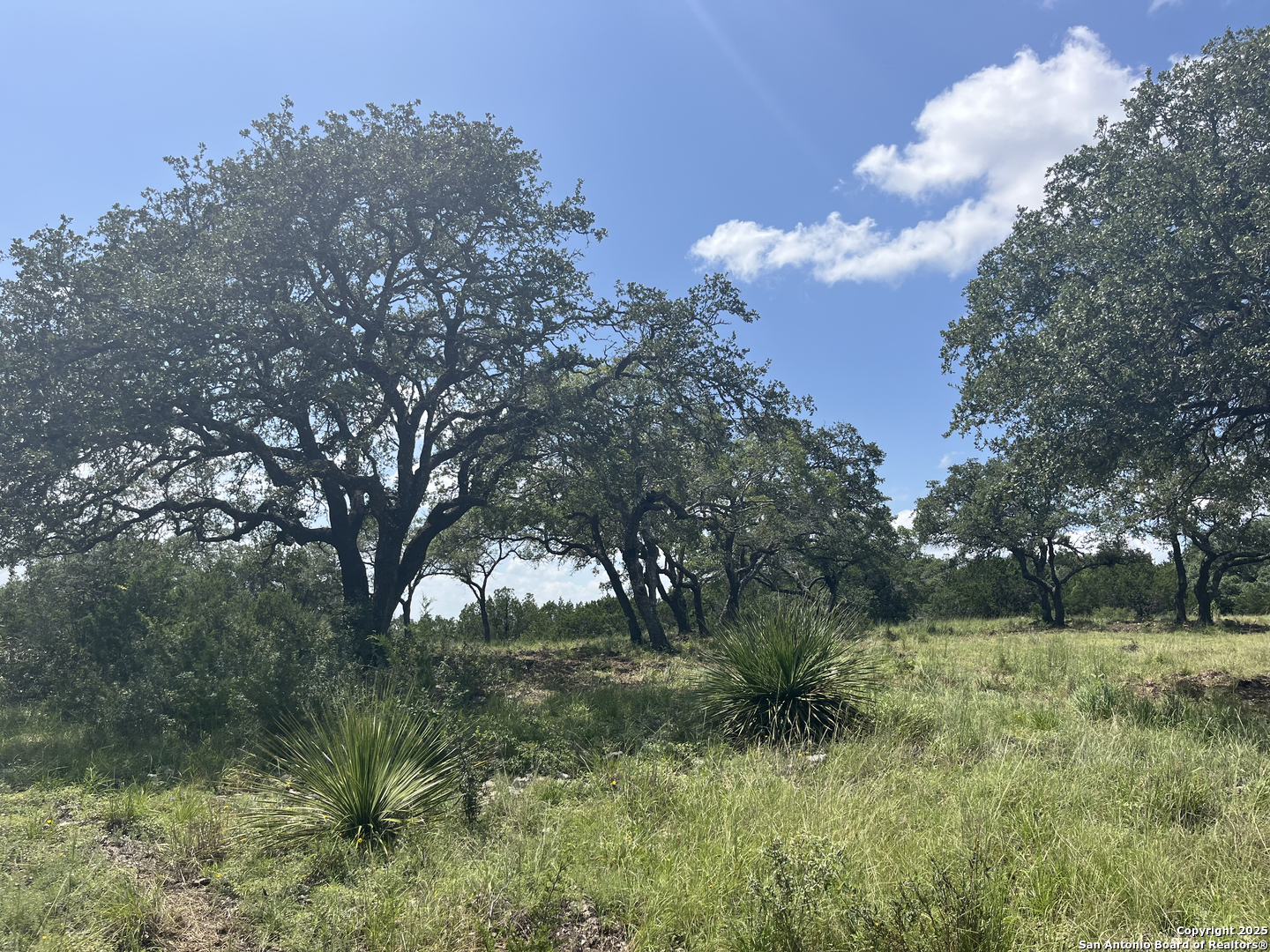 189 Cordillera Ridge, , 78006 — photo 1