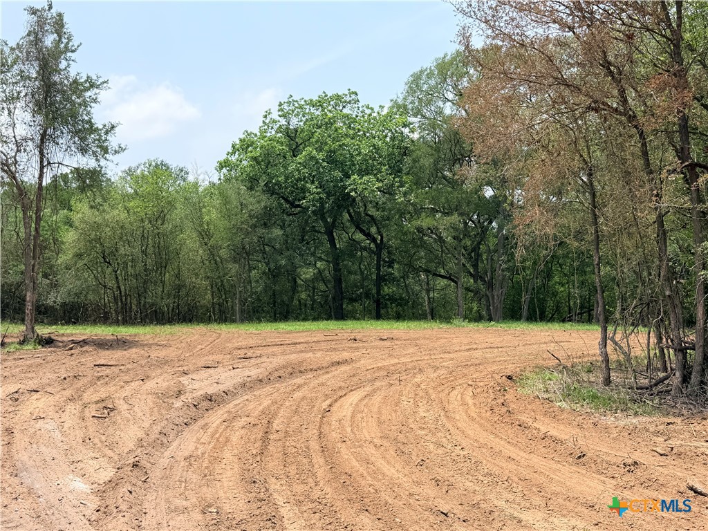 TBD FM 86, Luling, TX 78648 — photo 1