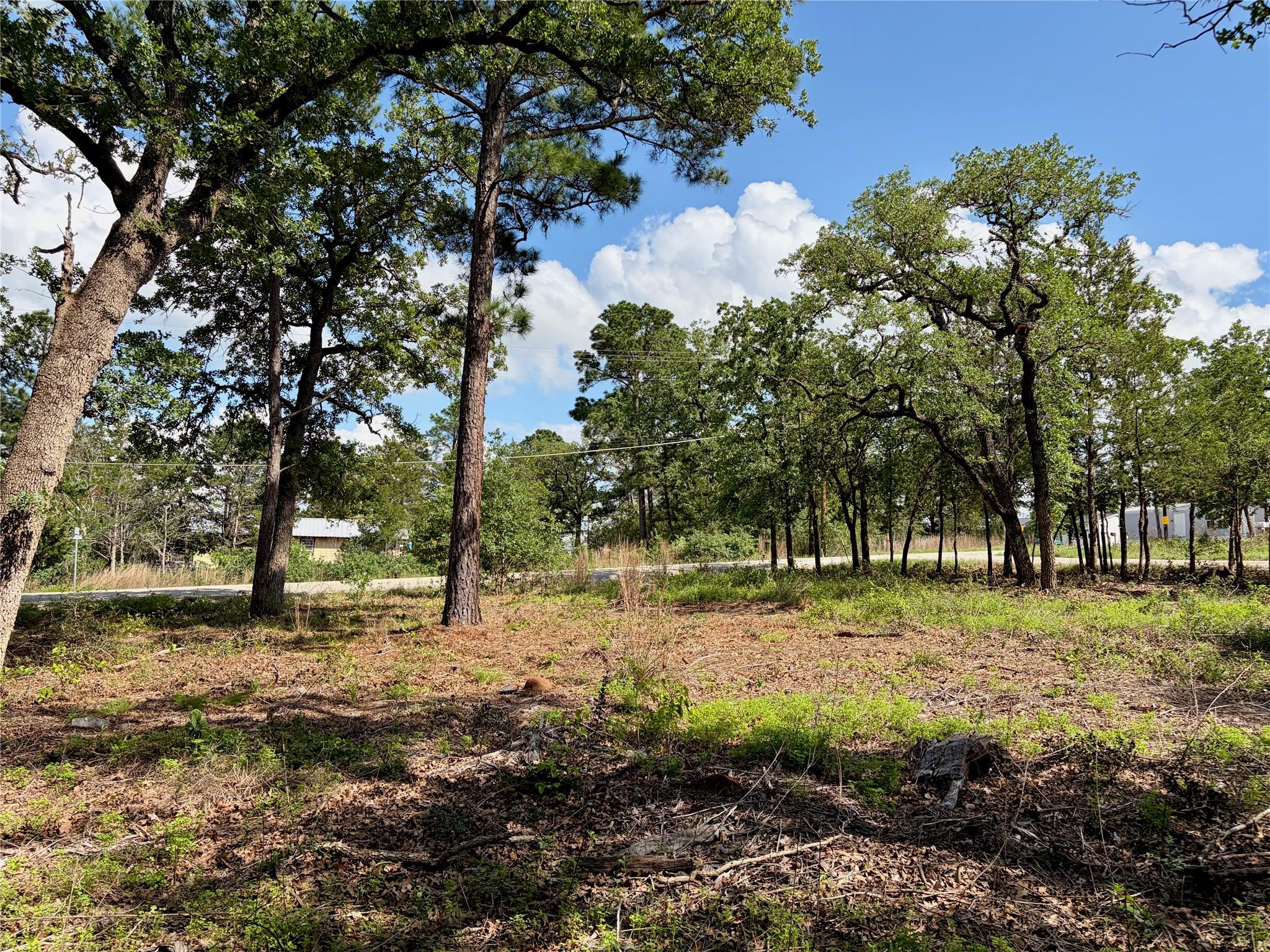 Lots-95/96 Shawnee, Smithville, TX 78957 — photo 1