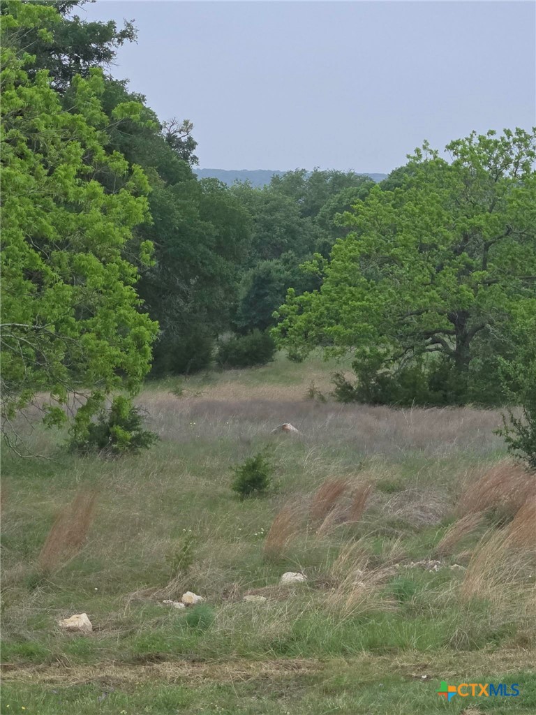 TBD Yosemite Dr. Lot# 202 Drive, Oglesby, TX 76561 — photo 1