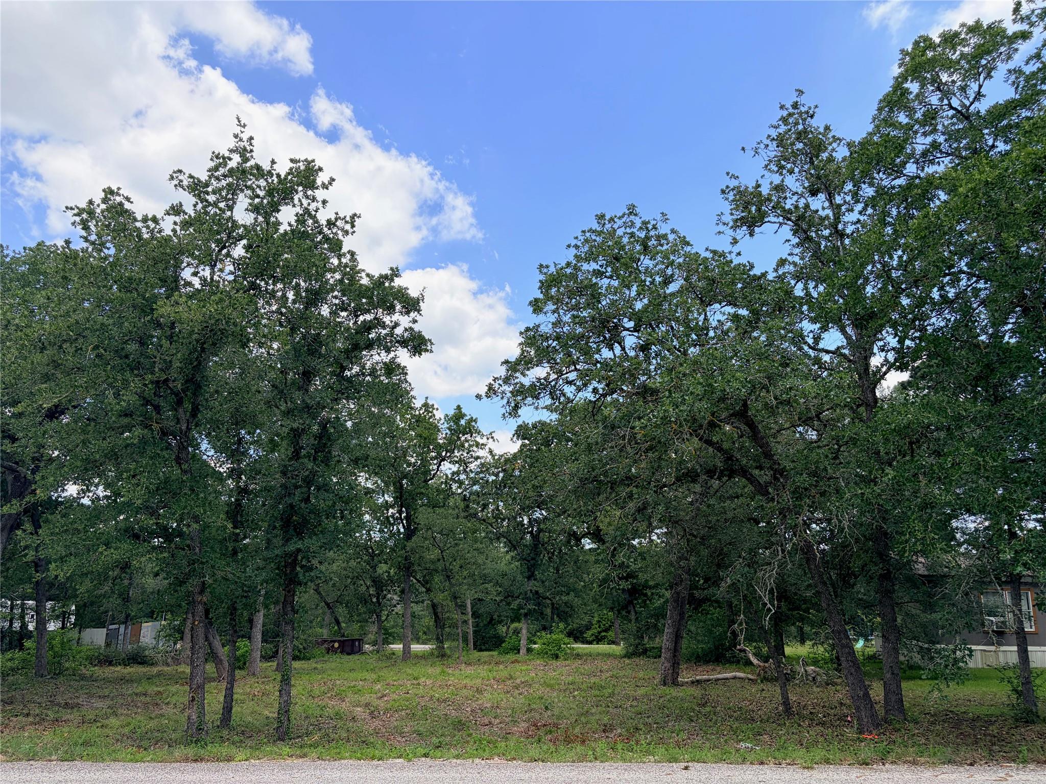 Lots-90/91 Arapaho, Smithville, TX 78957 — photo 1