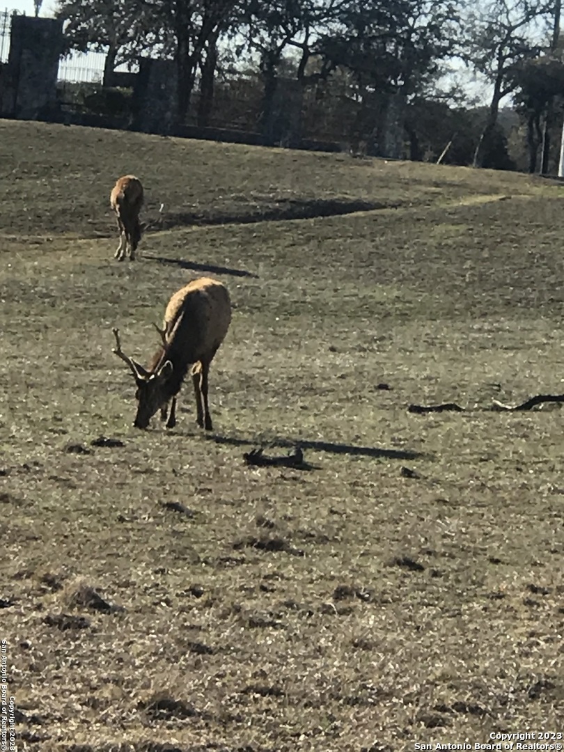 LOT 54 Elk Mountain Ranch, ,  78063 — photo 1