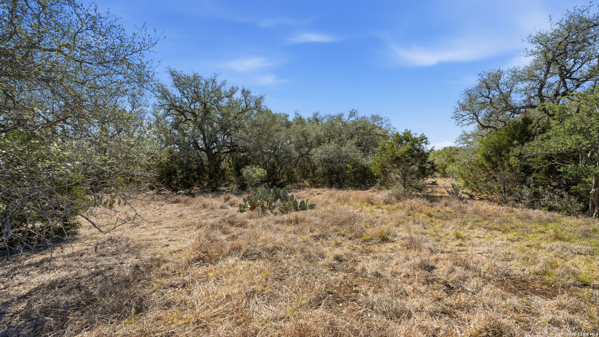 2124 FRANCISCO PASS, ,  78133 — photo 1