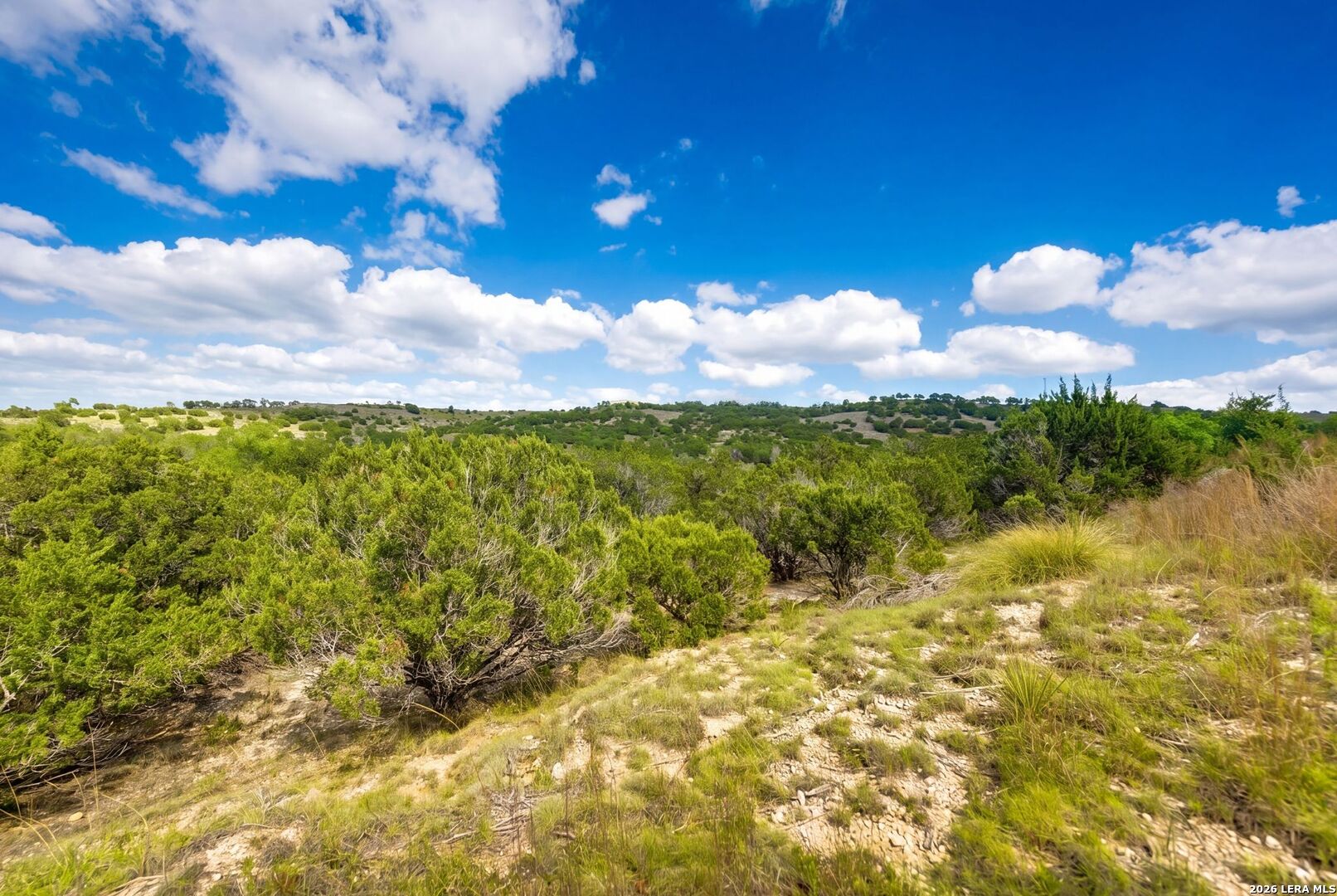 LOT 046 Falling Oak Dr, ,  78606 — photo 1