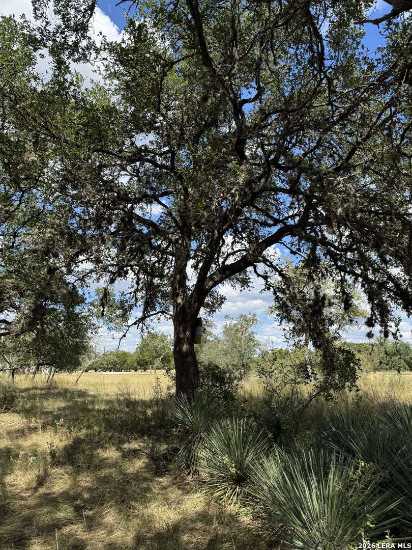 LOT 4 BLK C Rio Cir, ,  78063 — photo 1