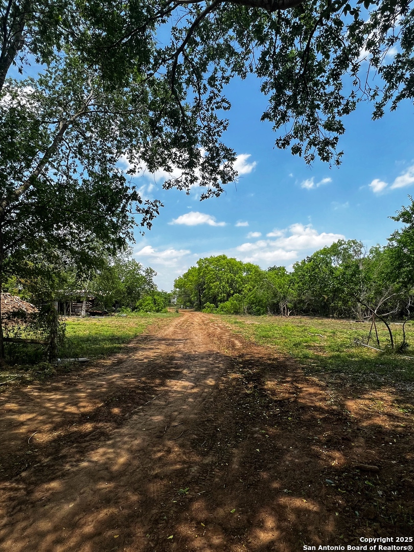 304 CR 6611 Tract #2, , 78016 — photo 1