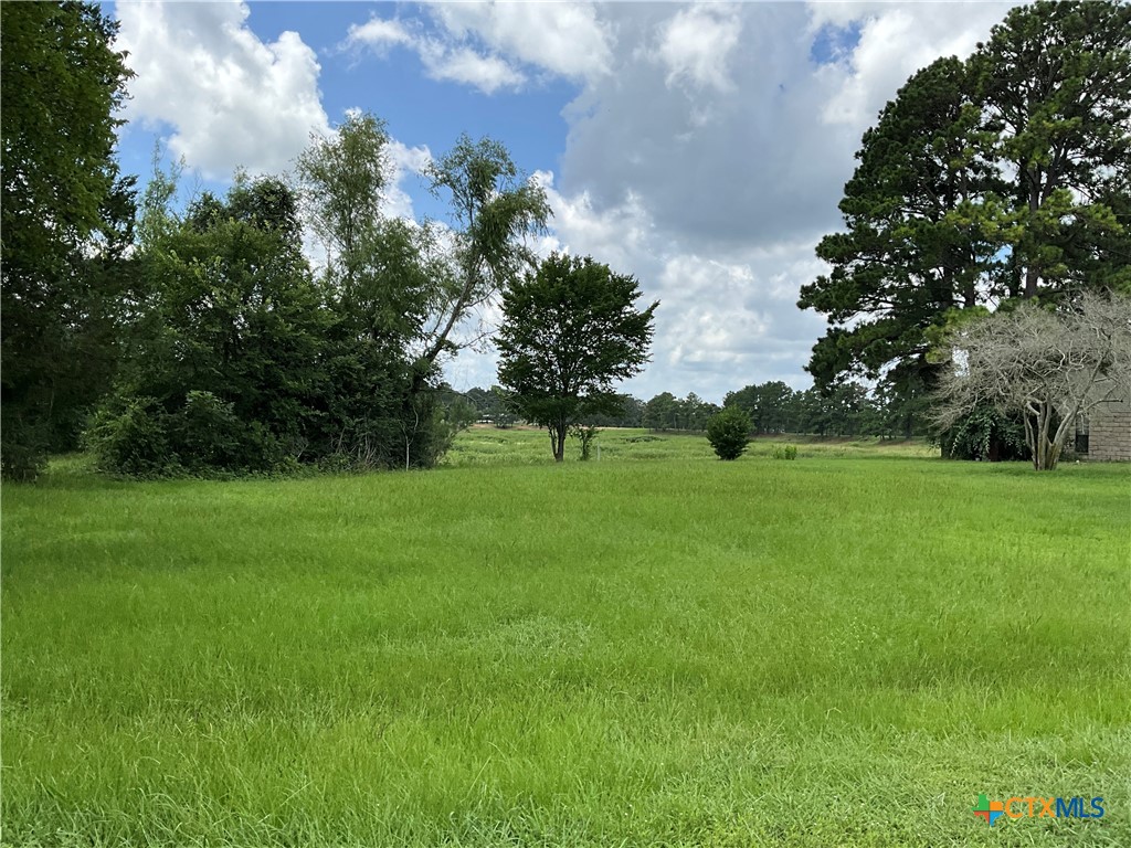 120 Shore Front Drive, Bastrop, TX 78602 — photo 1