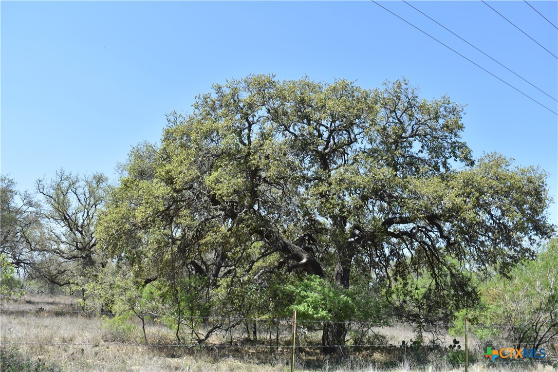 5030 Fm 2504, Poteet, TX 78065 — photo 1