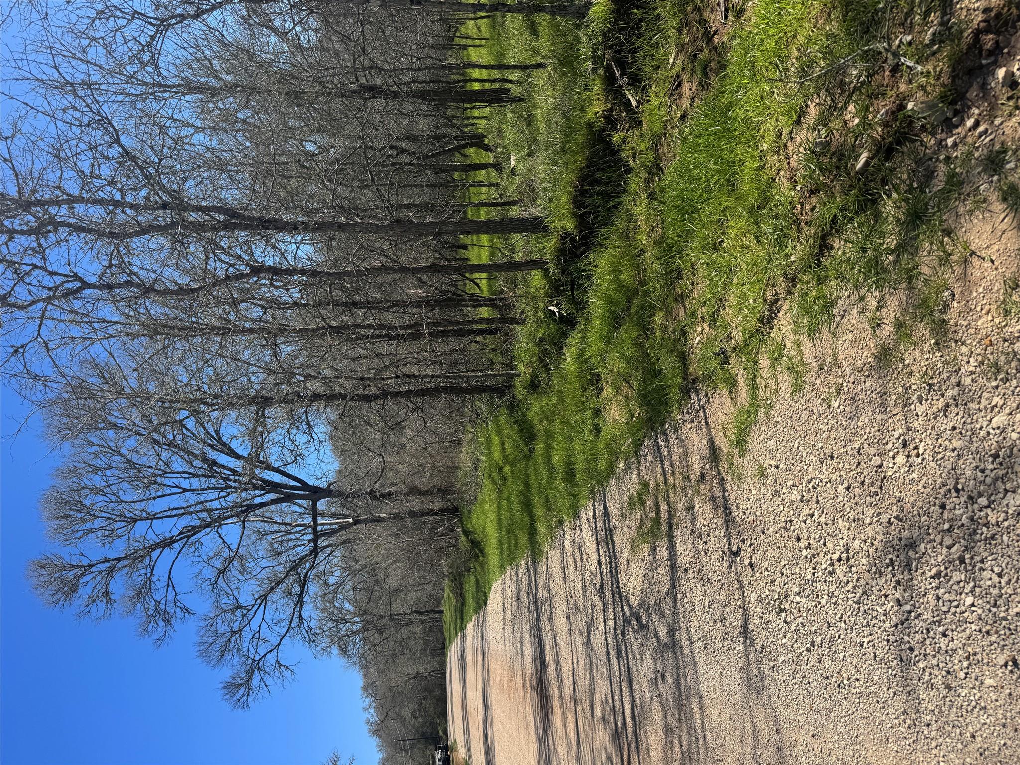 291 Kolekole Ln, Bastrop, TX 78602 — photo 1