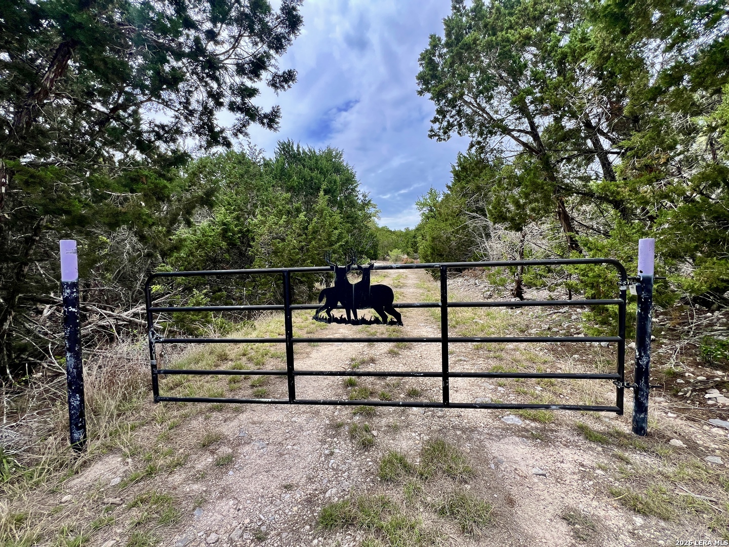 196 DINGLEY VIEW DR, Kerrville, TX 78028 — photo 1