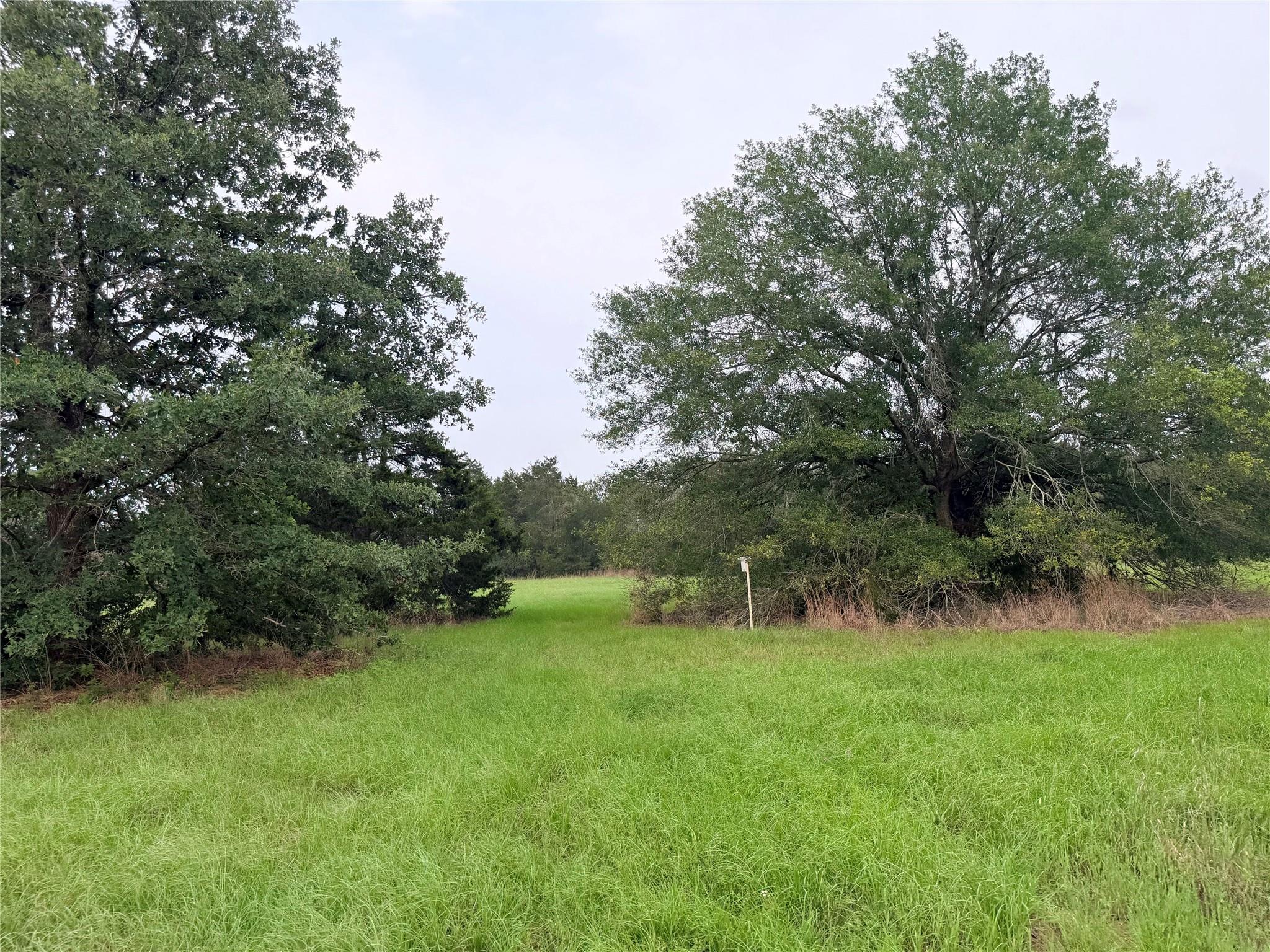 1766 Fm 2104, Paige, TX 78659 — photo 1