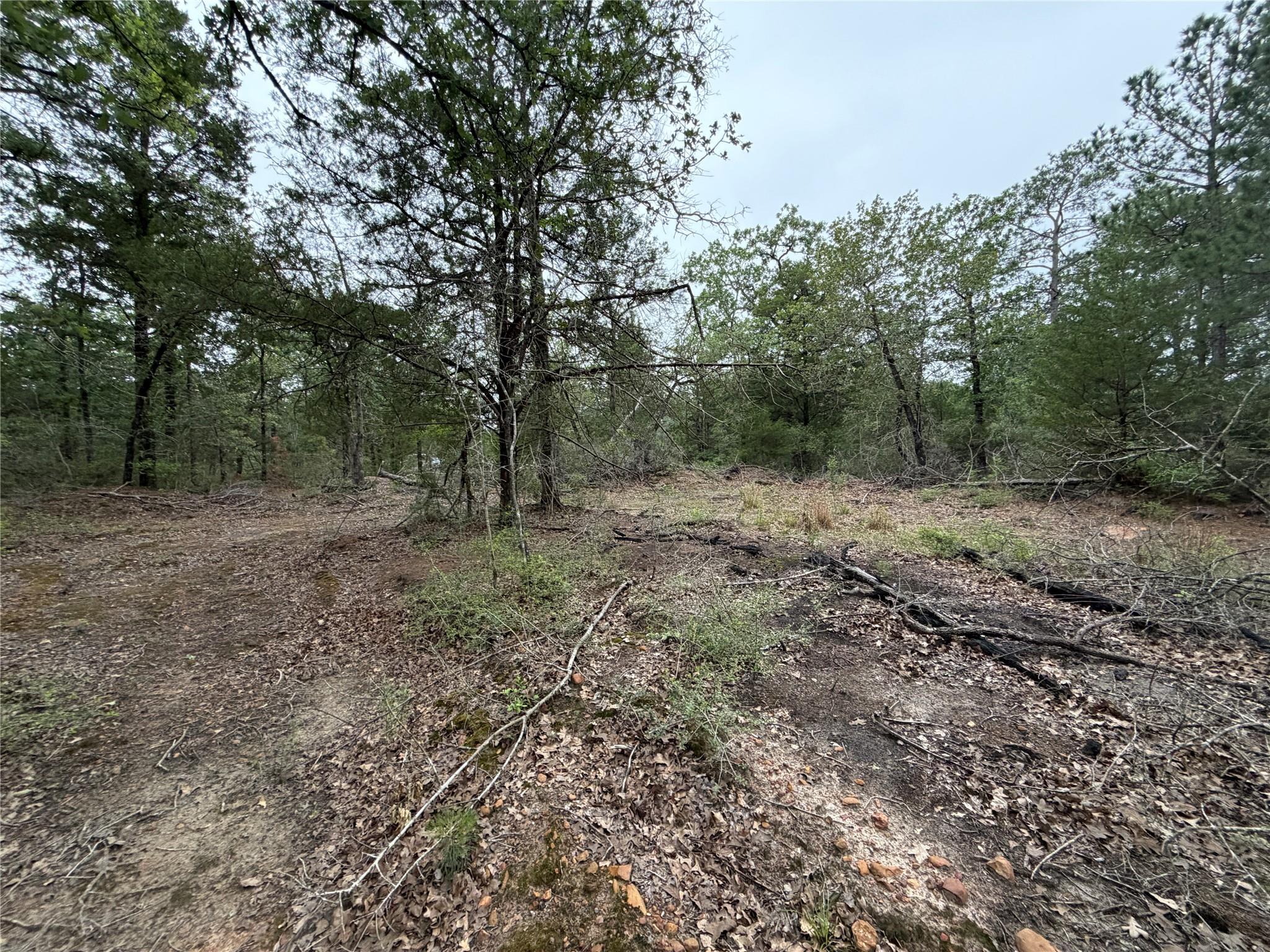 Lot 17 Old Antioch, Smithville, TX 78957 — photo 1