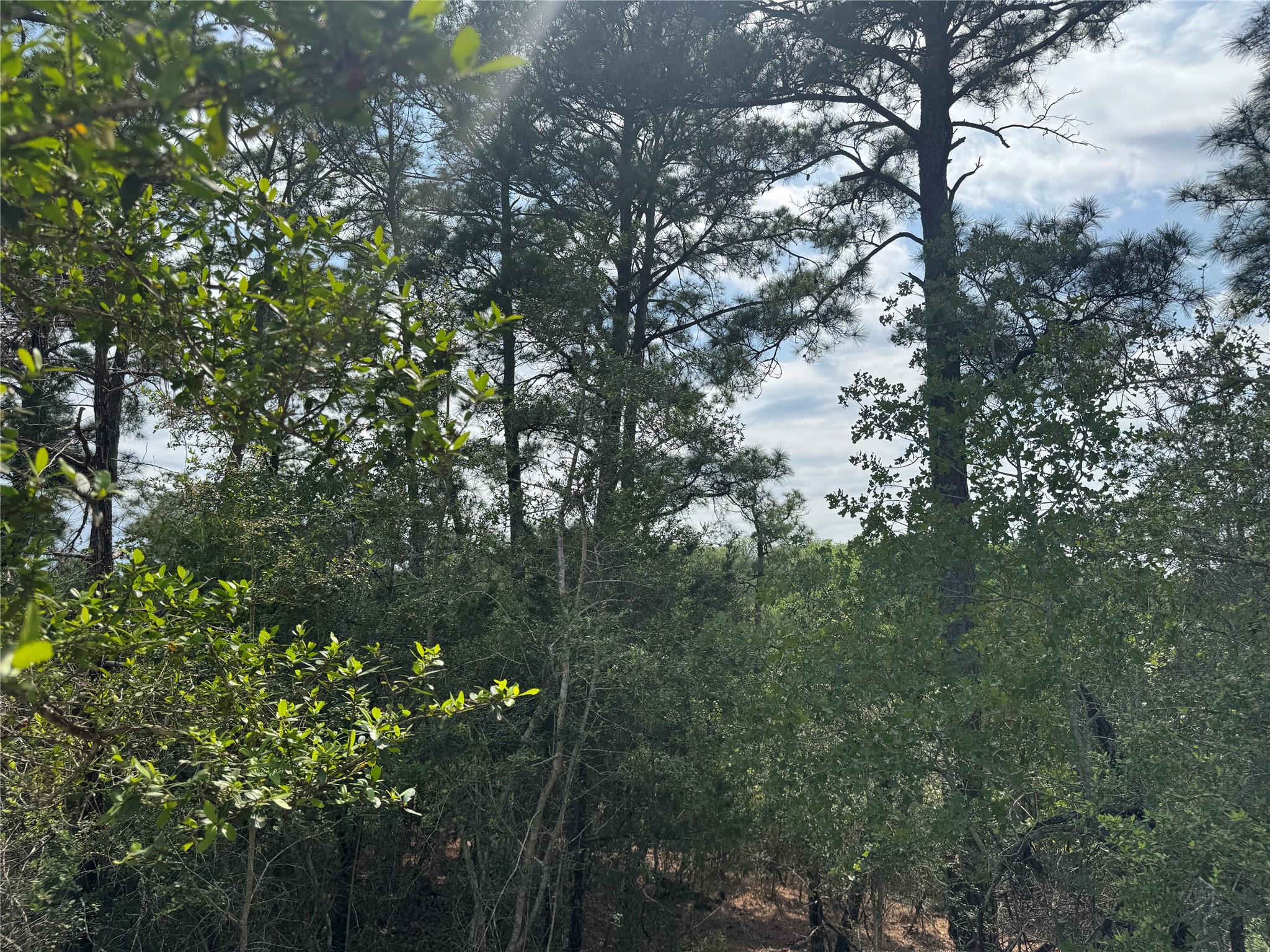 Lots 1263, 1264, 1265 Hanauma, Bastrop, TX 78602 — photo 1