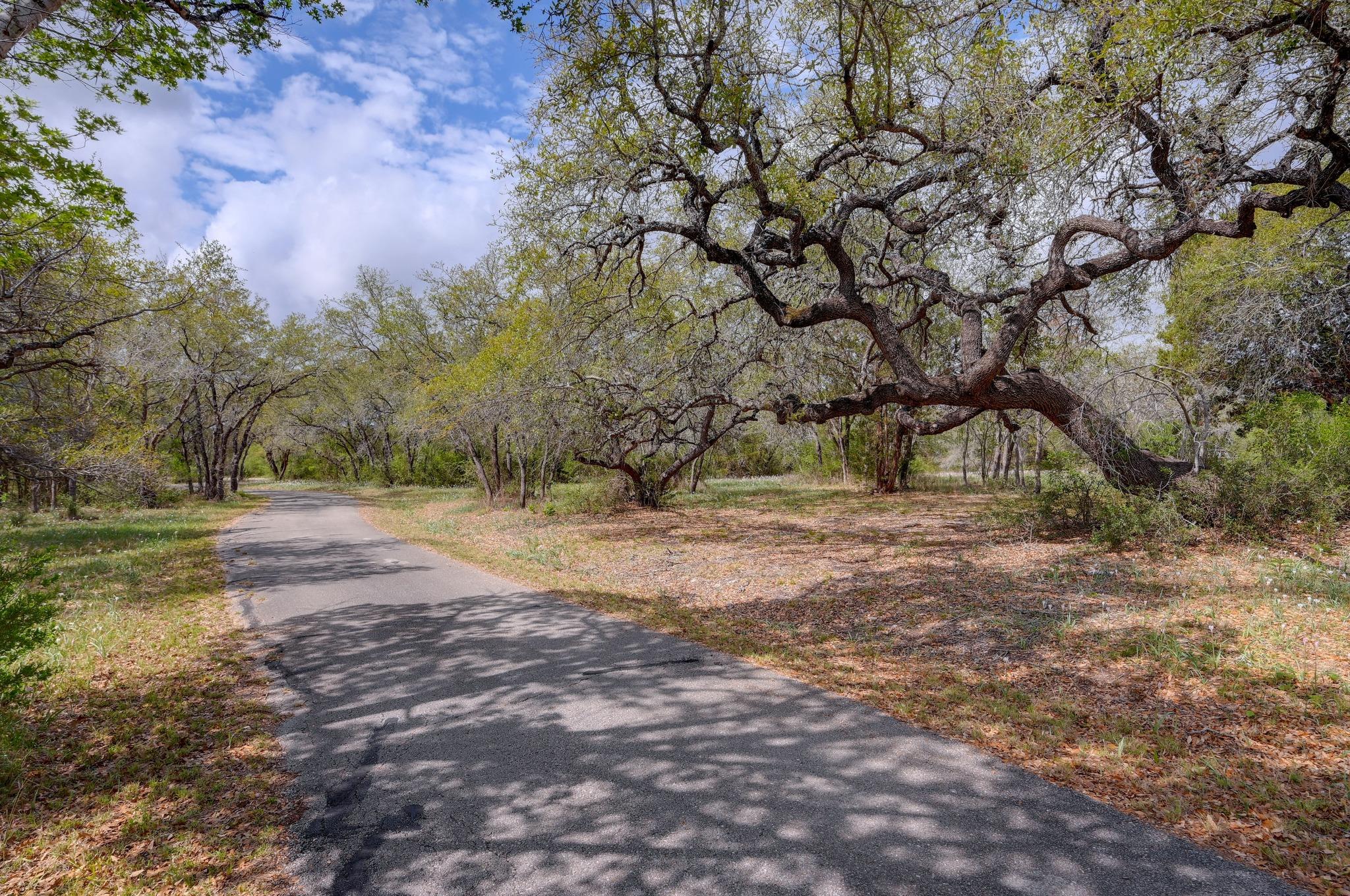 325 Crystal Meadows, Kyle, TX 78640 — photo 1
