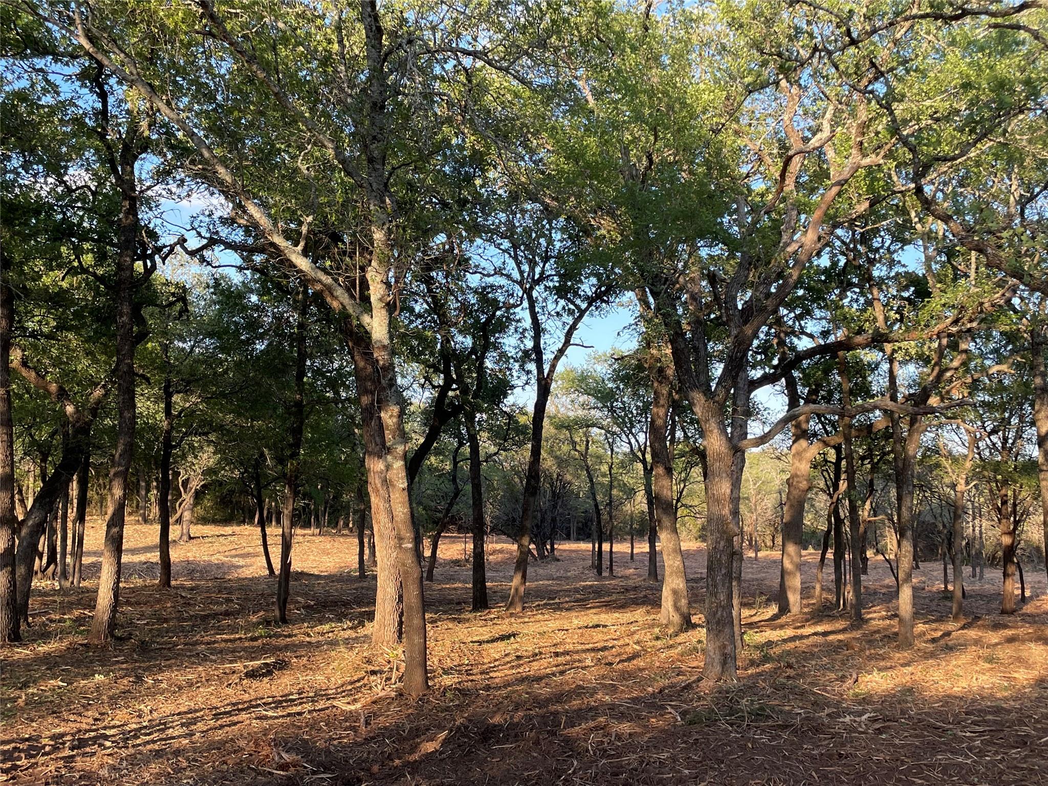 10960 FM 1602, Jonesboro, TX 76538 — photo 1