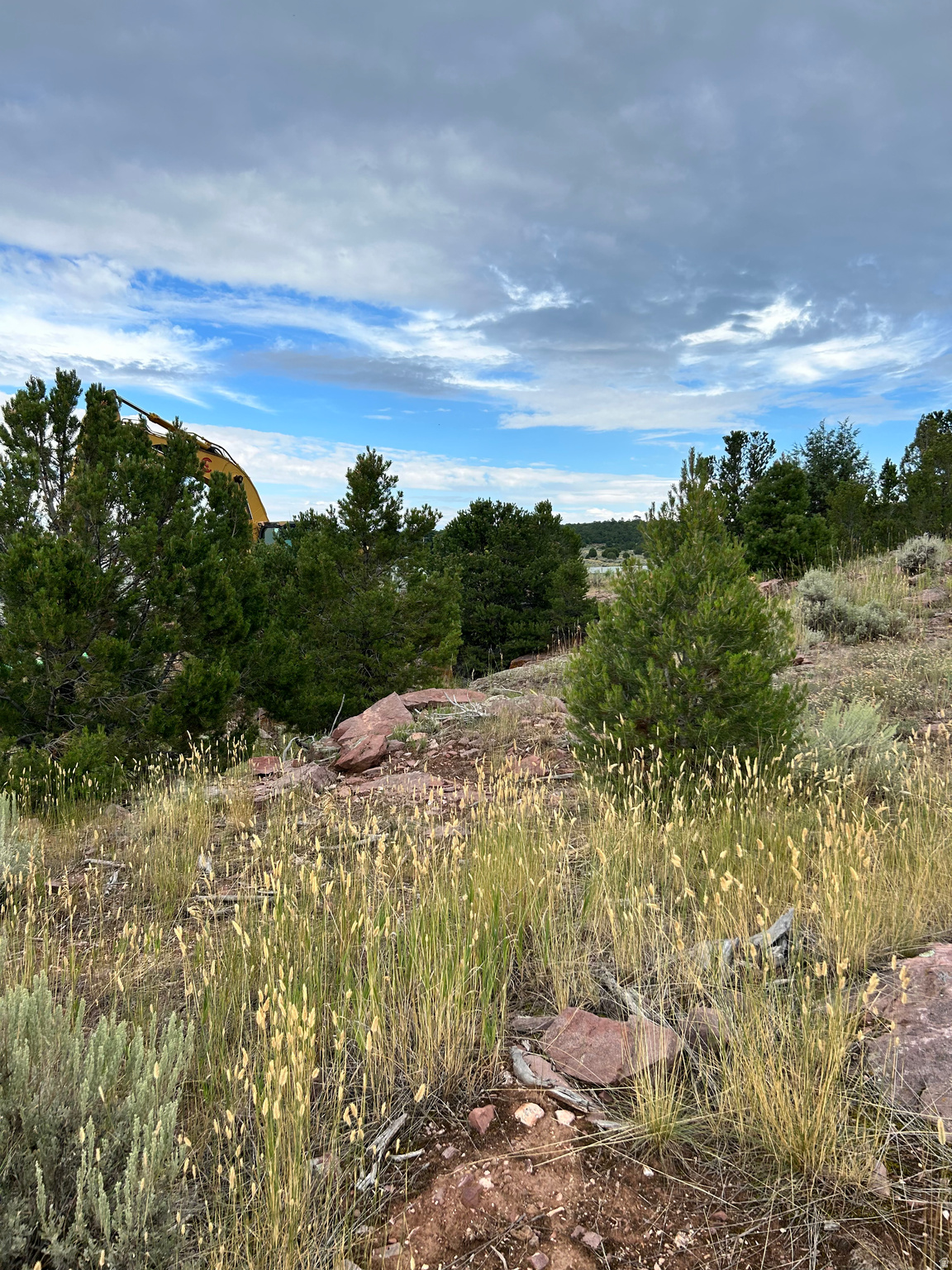 102  KESTREL CIR