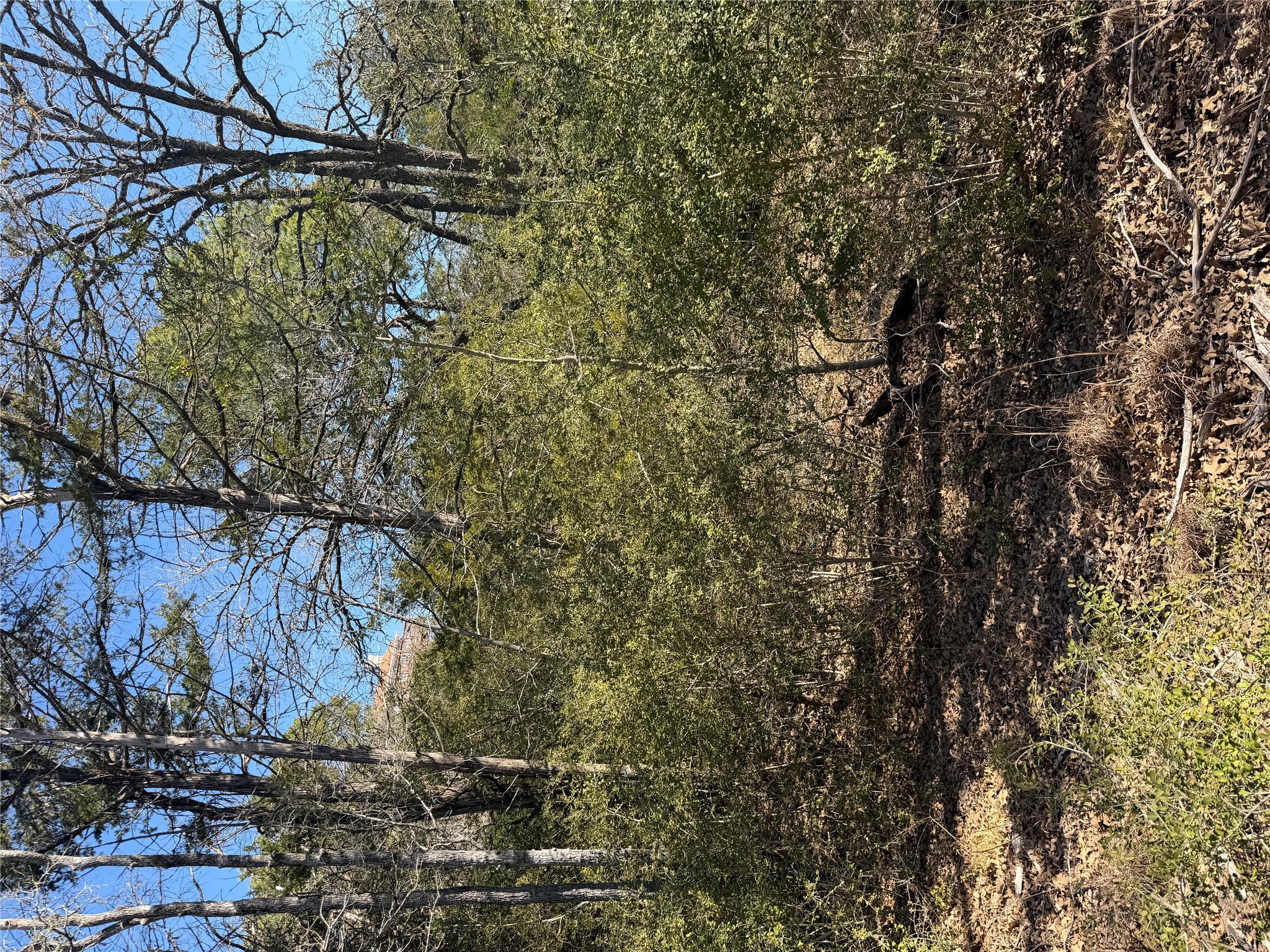 Lot 110 Wailupe, Bastrop, TX 78602 — photo 1