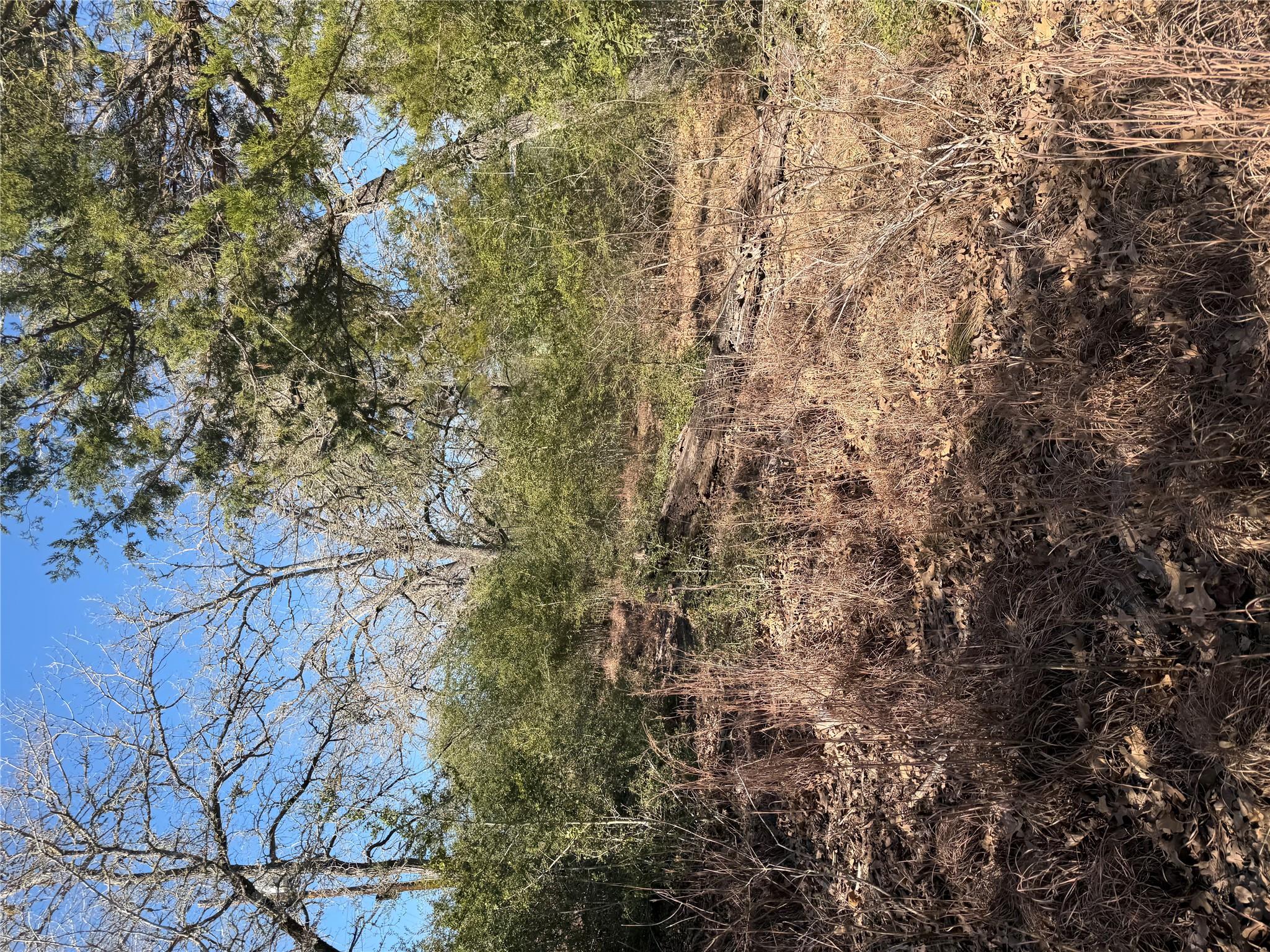 Lot 109 Wailupe, Bastrop, TX 78602 — photo 1