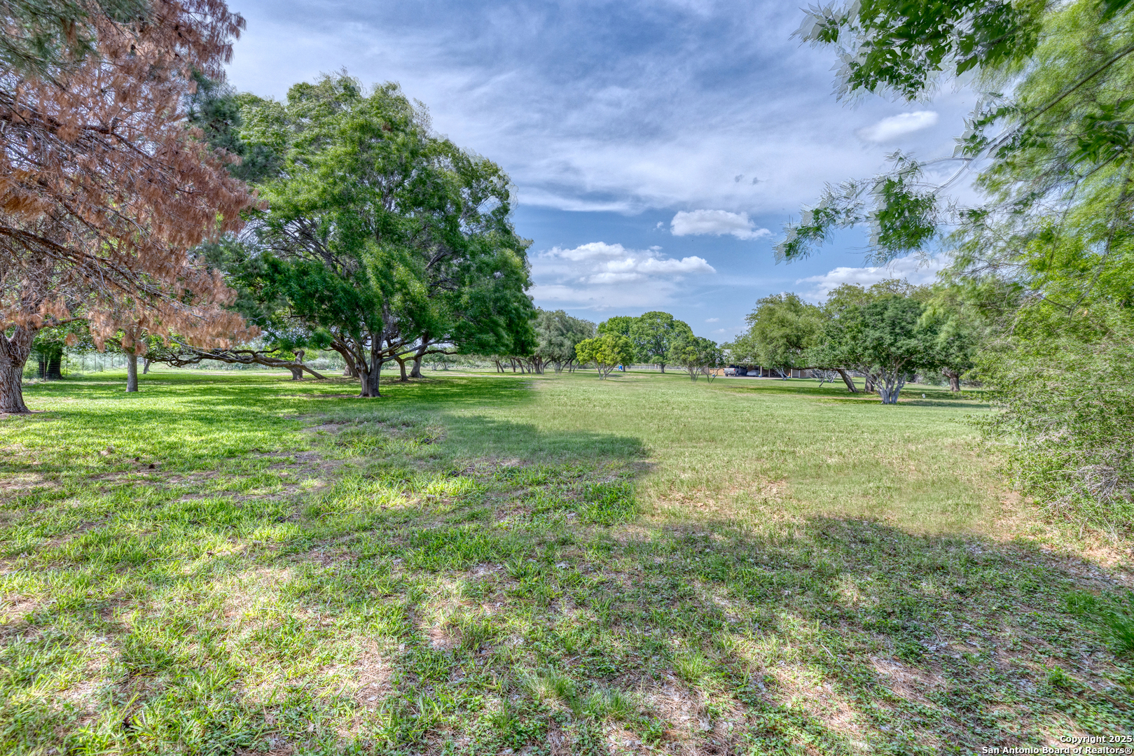 433 Mills Ln, ,  78801 — photo 1
