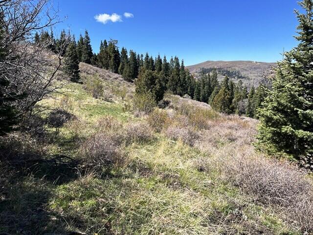 3934 S Summit Mountain Road RD, Lot 3, Summit, UT 84772 — photo 1
