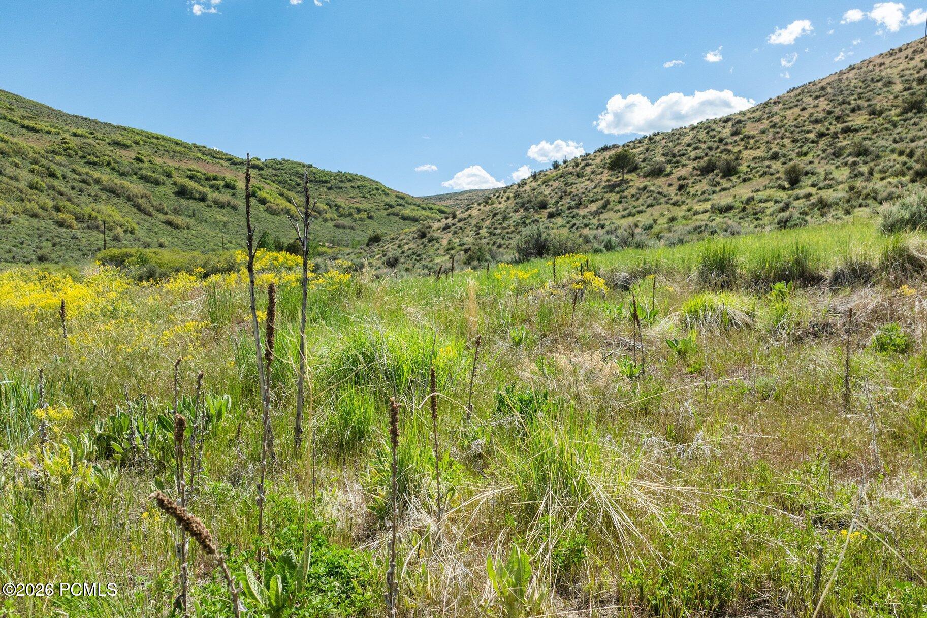 6325 Elk Ridge Road, Peoa, UT 84061 — photo 1