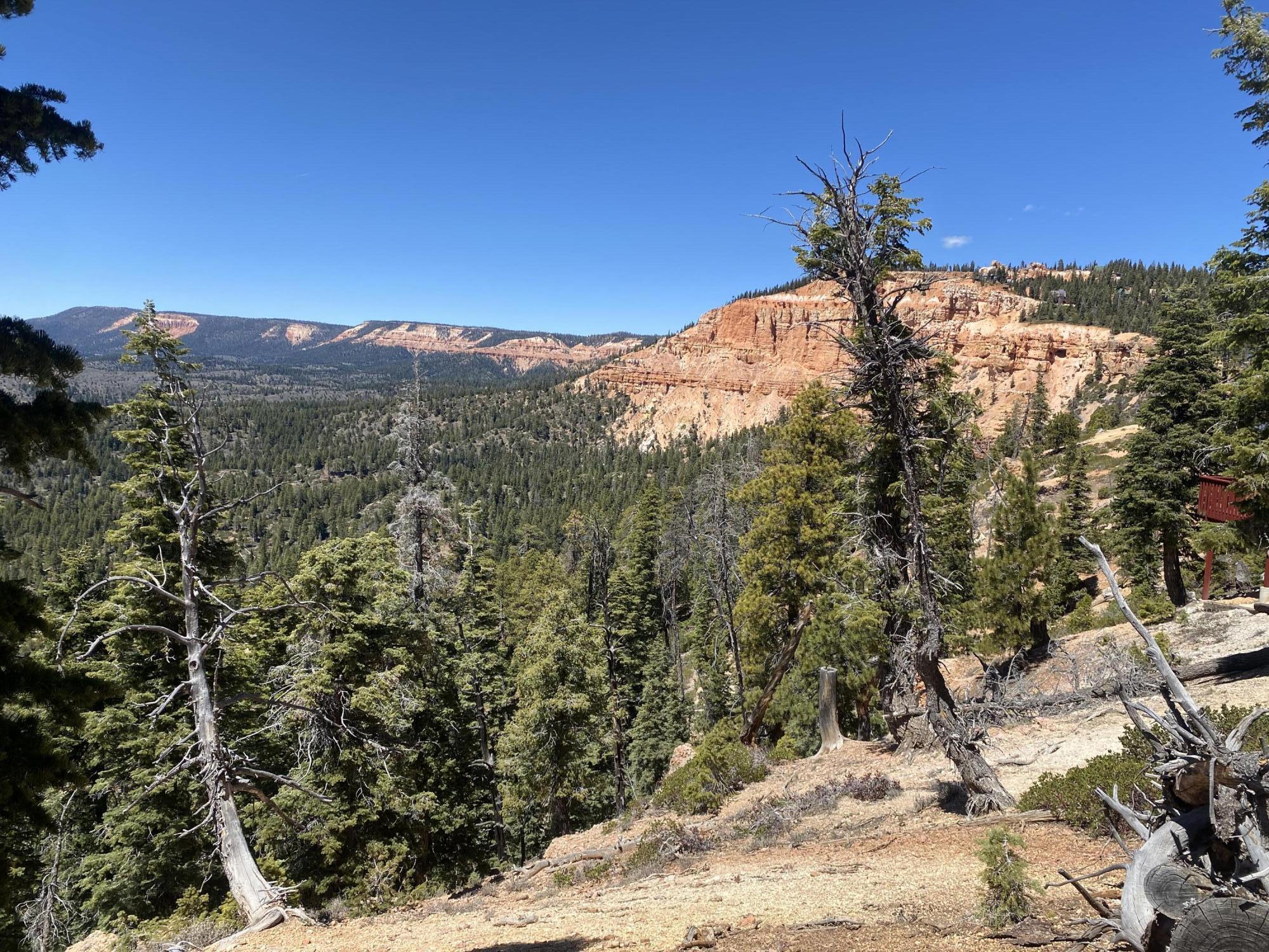 1470 W View DR, Duck Creek Village, UT 84762 — photo 1