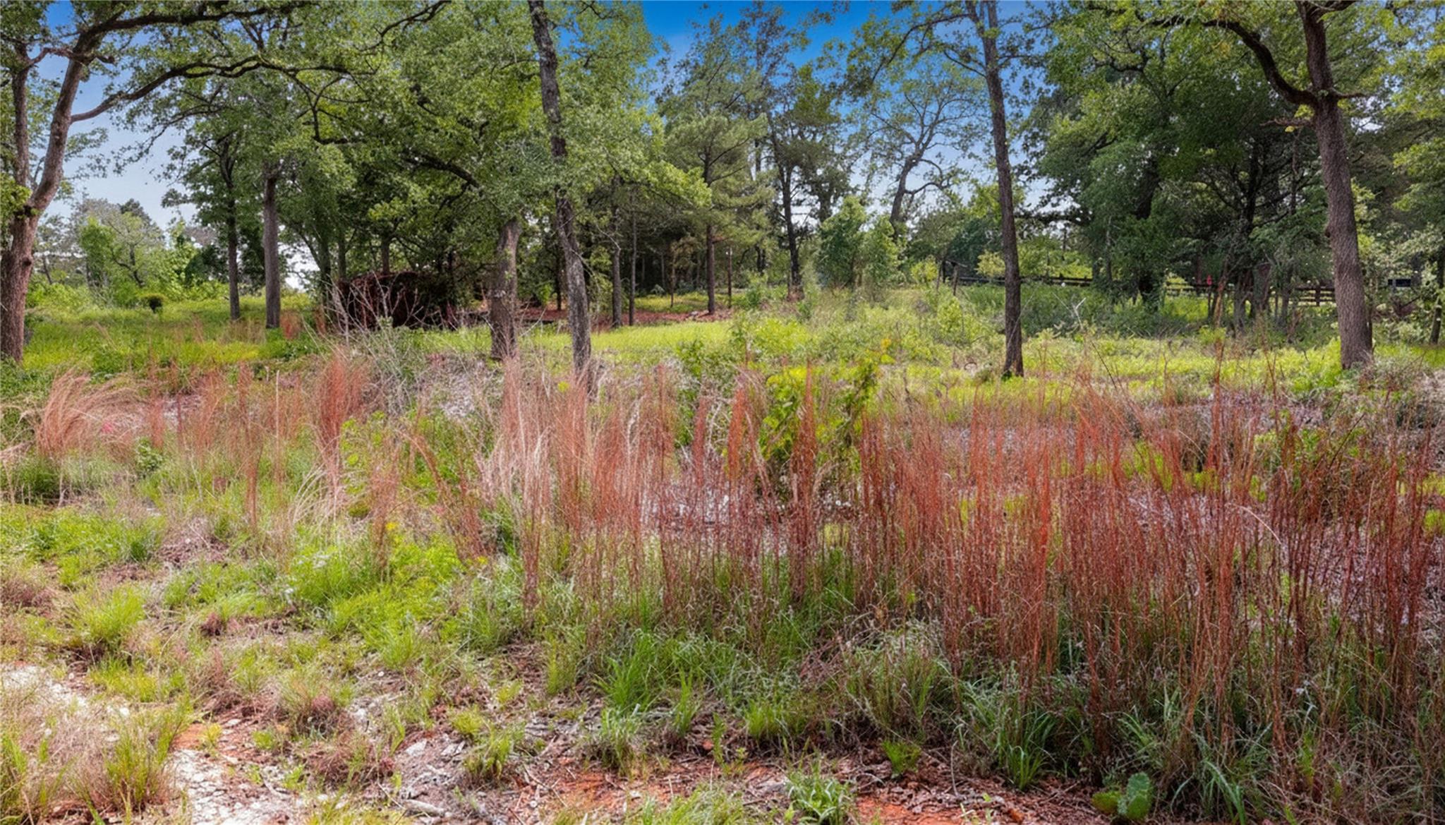 200  Cheyenne Dr, Smithville, TX 78957 — photo 1