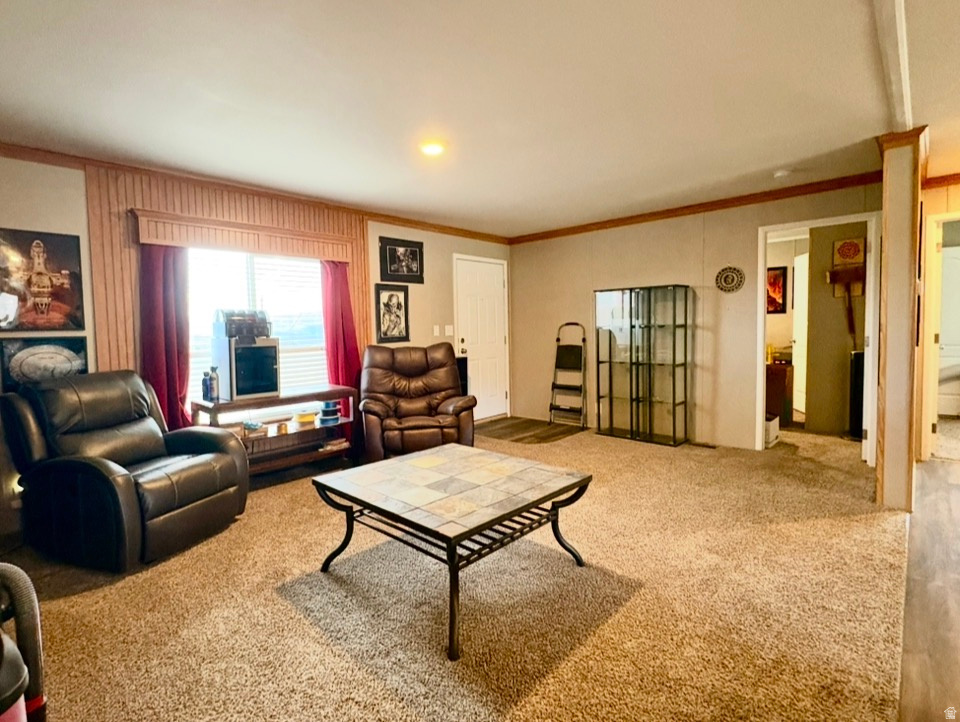 22498 N 12320 E, Fairview, UT 84629 — photo 1