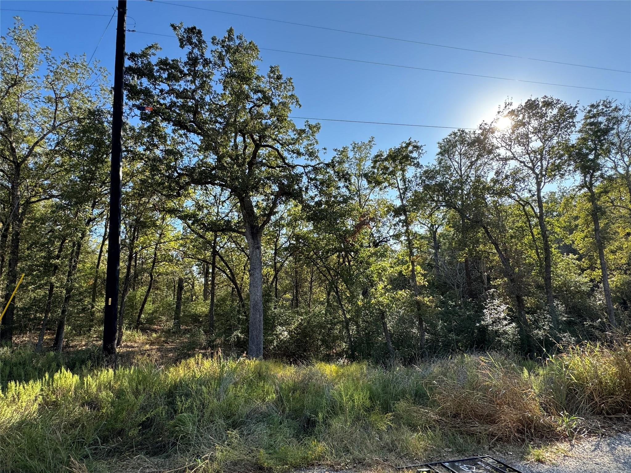 Lot 130 Wailupe, Bastrop, TX 78602 — photo 1