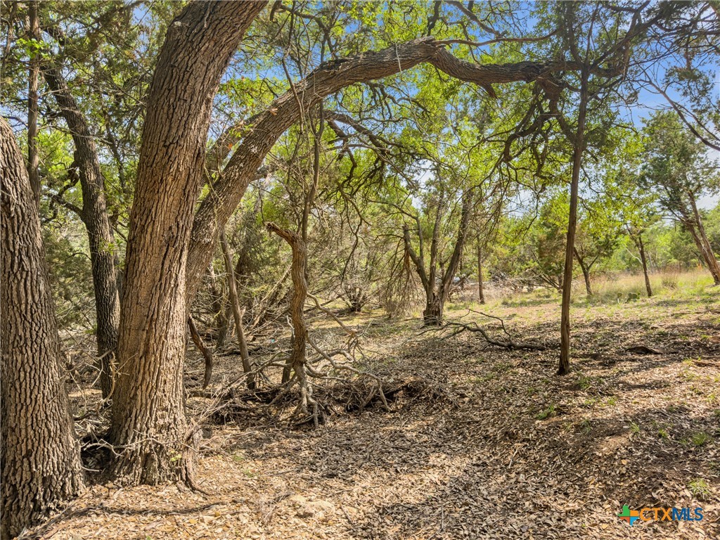 369 Onion Creek Lane, Blanco, TX 78606 — photo 1