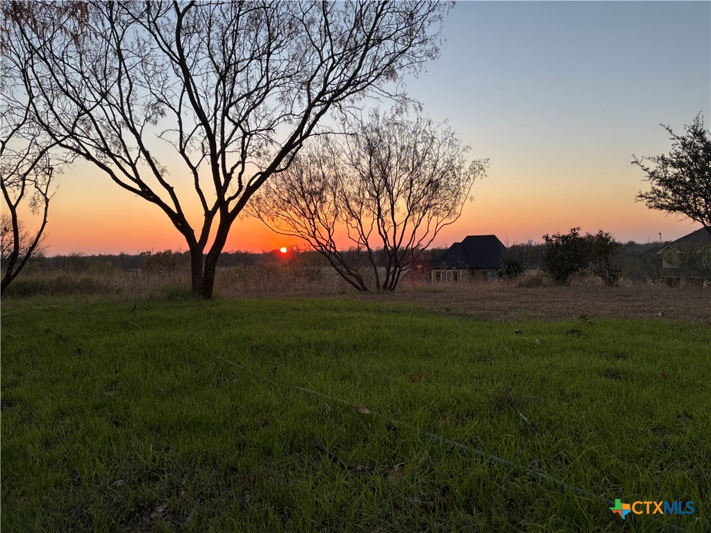 1205 Larkspur Lane, Temple, TX 76502 — photo 1