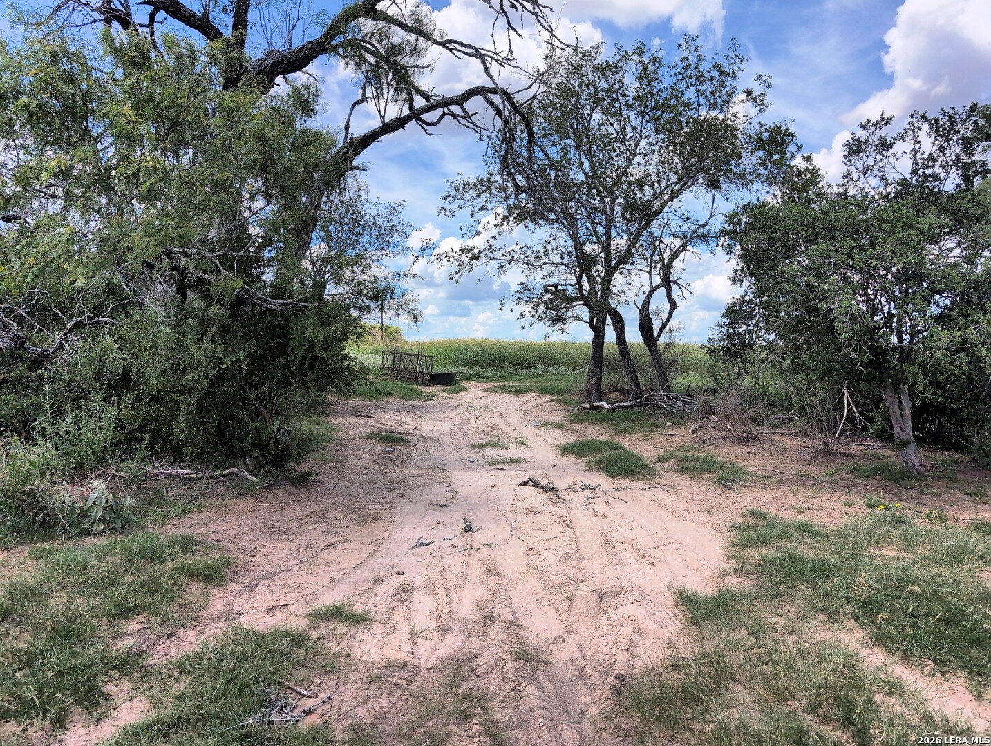 125 ACRES Cooksey Road, ,  78101 — photo 1