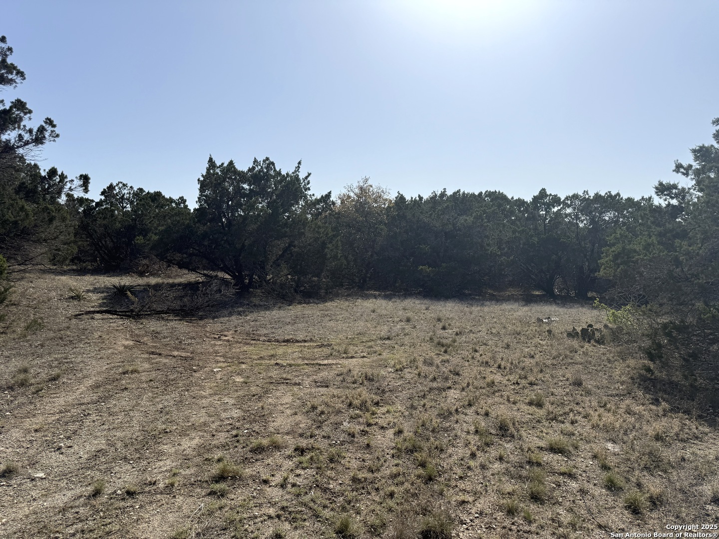 1430 Circle Acres, ,  78163 — photo 1