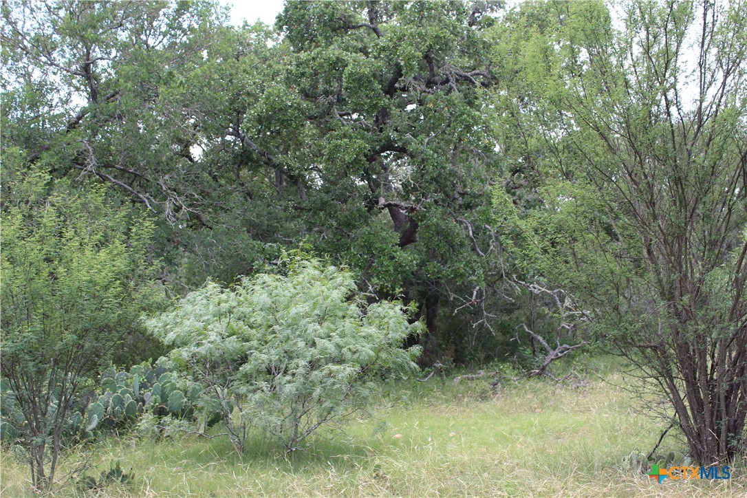 0 FM 3353, Kingsbury, TX 78638 — photo 1