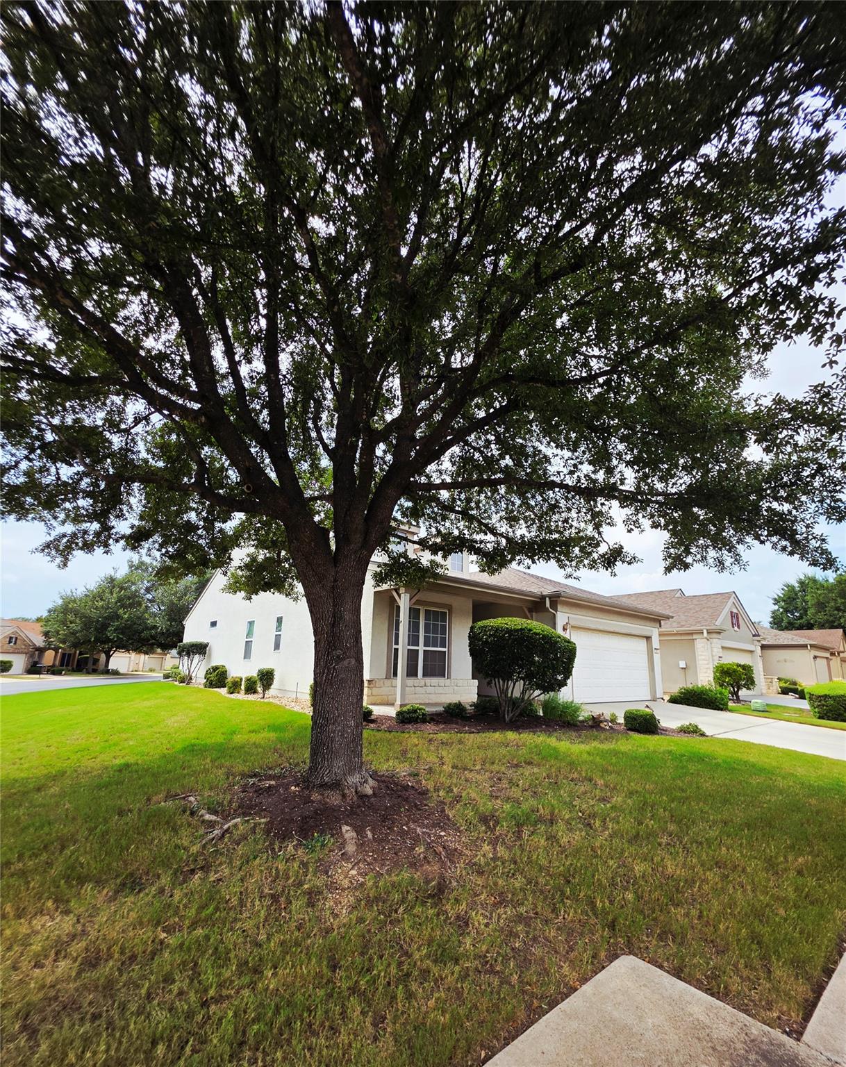 201 Yosemite, Georgetown, TX 78633 — photo 1