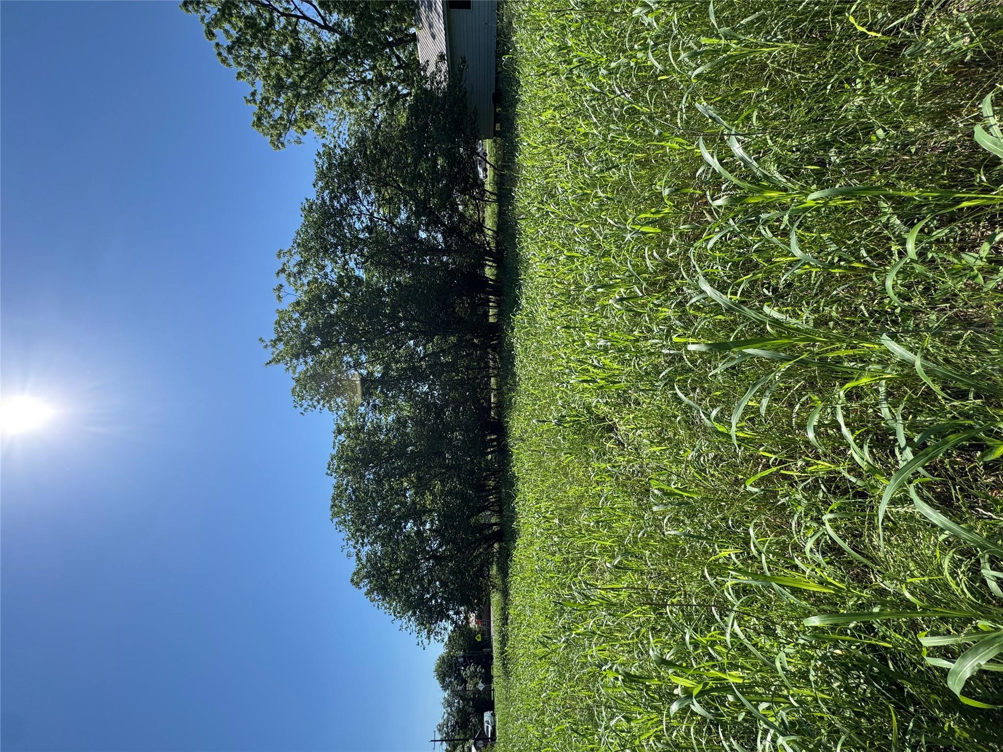 600 Gazley, Smithville, TX 78957 — photo 1