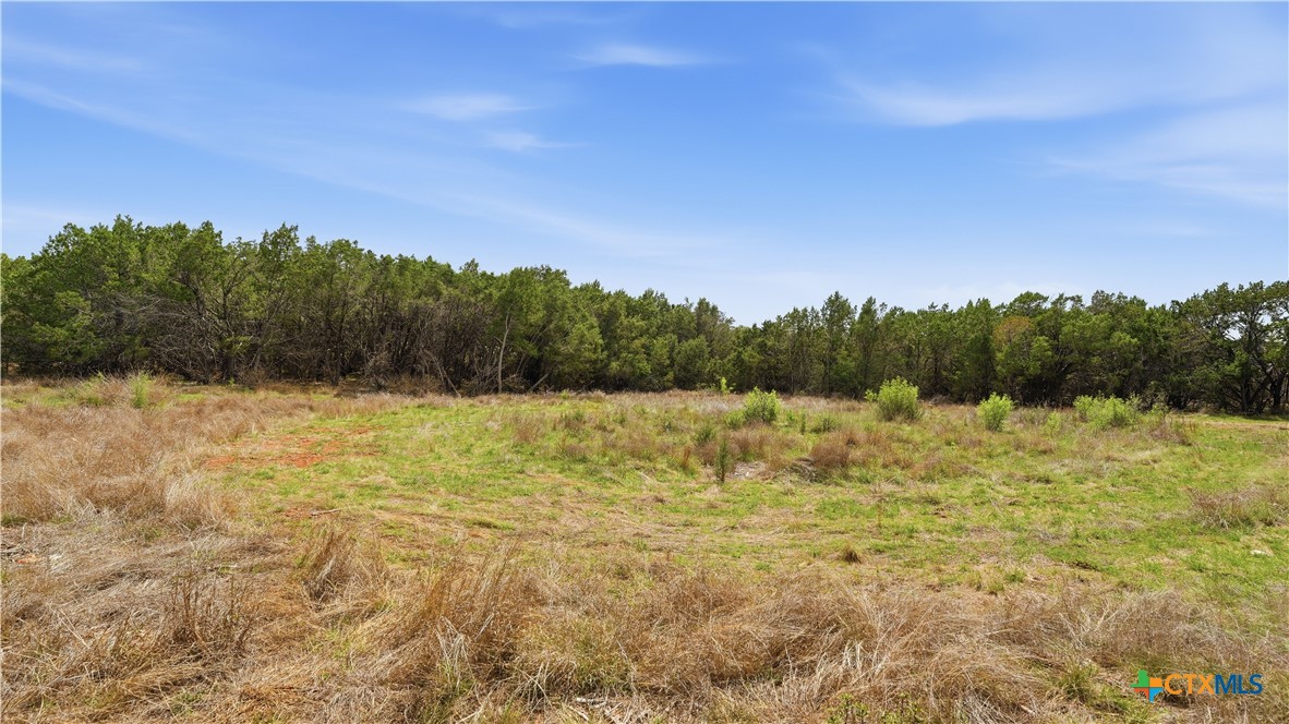 27230 Eichenbaum Road, New Braunfels, TX 78132 — photo 1