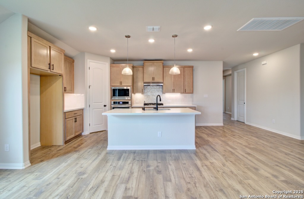 11116 Prairie Landing, , 78109 — photo 1