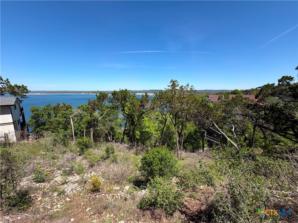 1345 Larson, Canyon Lake, TX 78133 — photo 1