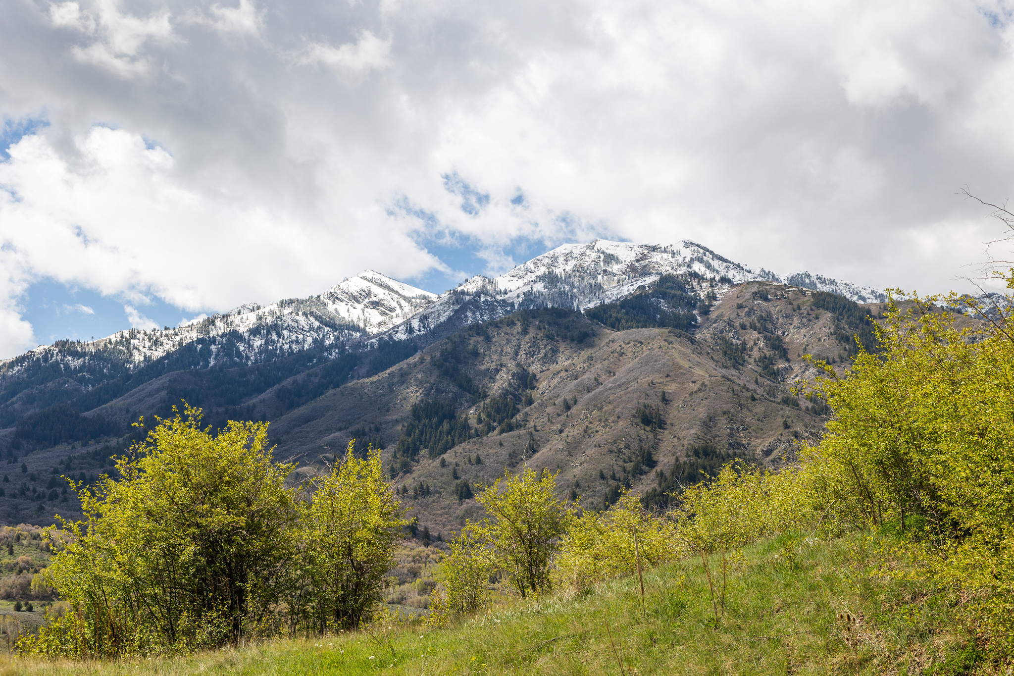 5921 RIVER VIEW CIR, Mountain Green, UT 84050 — photo 1