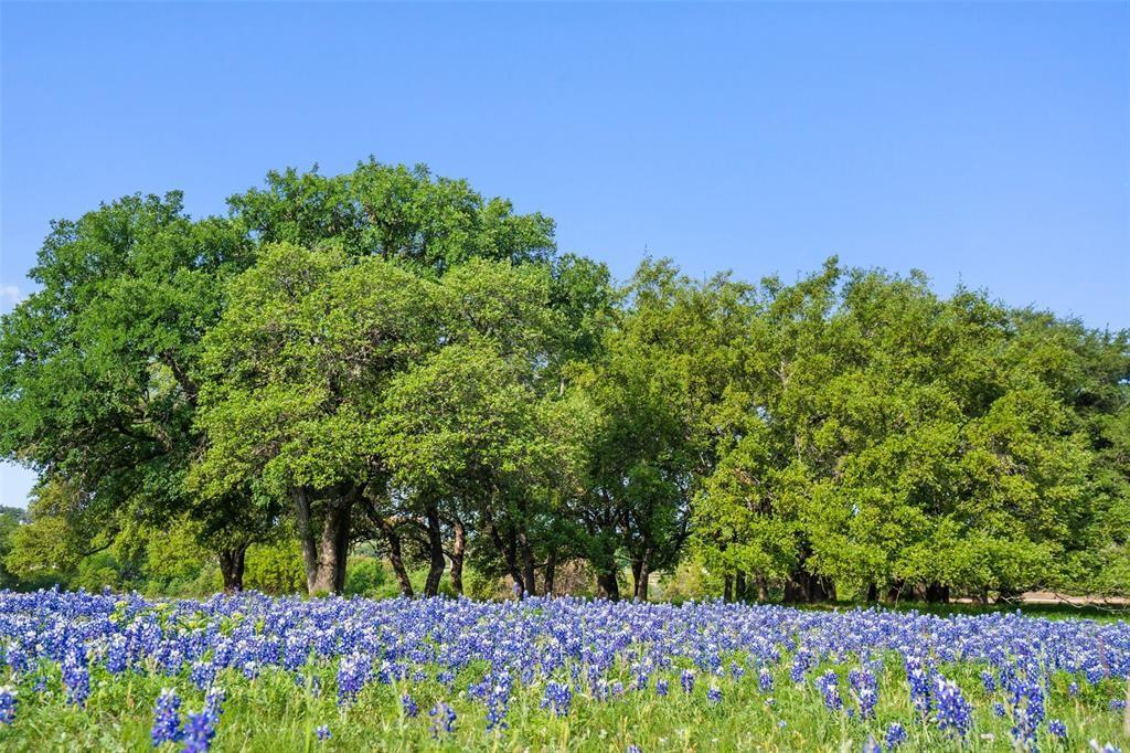 27132 Founders, Spicewood, TX 78669 — photo 1
